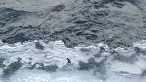 Thawed ice on river, rapid flow of water under ice in winter, spring thaw. Stock Footage 146756118