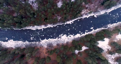 Thawed Ice Water Flows In The River With Coniferous Forest On The Sides Vídeos de archivo 149275378