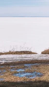 Thawed patch in the snow with grass on the background of a snow-covered lake Stock Photos