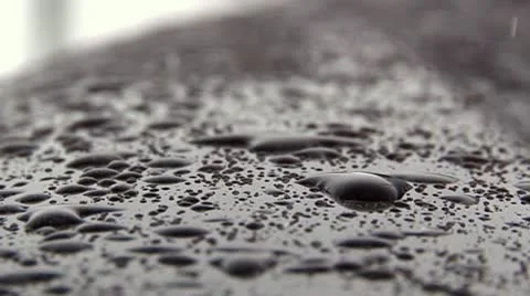 Thawed snow 스톡 동영상 10471446