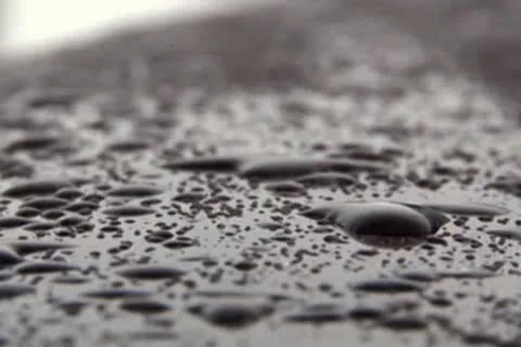 Thawed snow Video stock 10678147