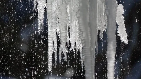 Thawing icicles Stock Footage 99263226