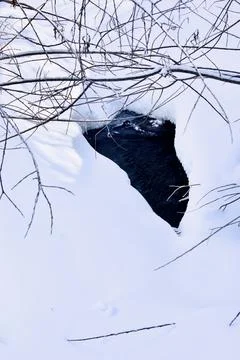 Thawing in a mountain river in winter Stock Photos