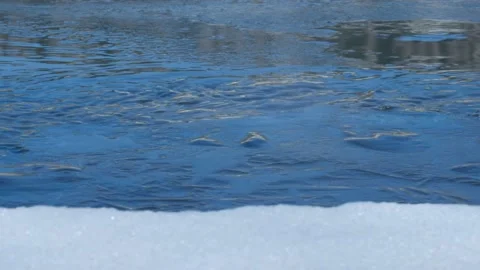 Thawing on river ice in spring Stock Footage 151696449