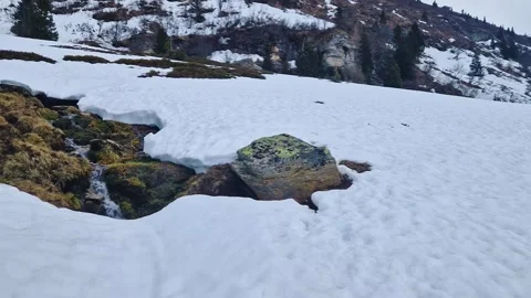 Thawing Snow and Stream in Alpine Spring Landscape Stock Footage 321654804