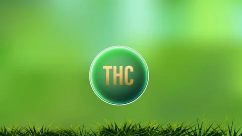 THC Psychoactive Cannabinoid Benefits video animation on green background. Stock-Footage 120714144