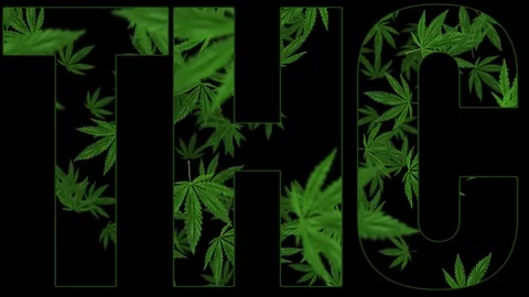 THC Tetrahydrocannabinol title logo animation with cannabis leaf filled text Vídeo Stock 108324471