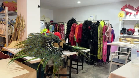 Theatre Workshop. Decorations, feathers and props Stock Footage 280684067