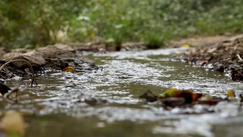 Thee ain spring of water Stock Footage 112783712