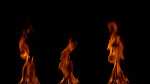 Thee torch fire Stock Footage 90670269