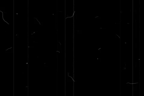 TheEnd Stock Footage 335538