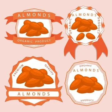 The theme almond 스톡 일러스트