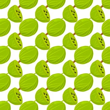 Theme big colored seamless gooseberry Stock Illustration