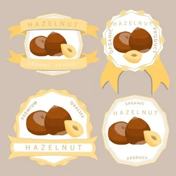 The theme hazelnut Illustrazione stock
