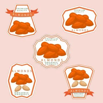 The theme nut 스톡 일러스트