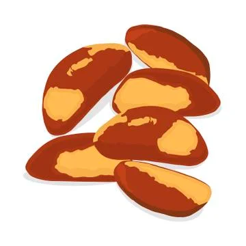 The theme nuts Stockillustratie