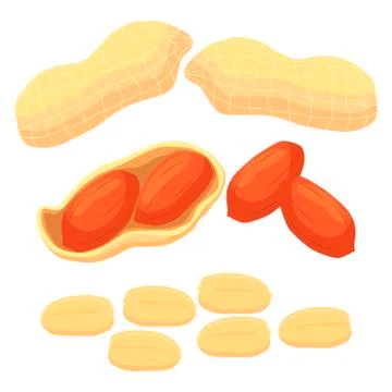 The theme nuts Stockillustratie