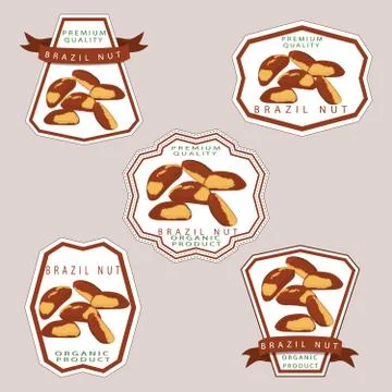 The theme nuts 스톡 일러스트