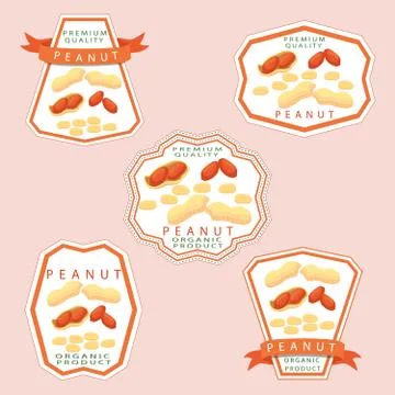 The theme nuts 스톡 일러스트