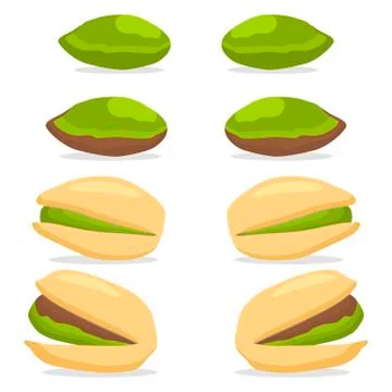 The theme nuts 스톡 일러스트