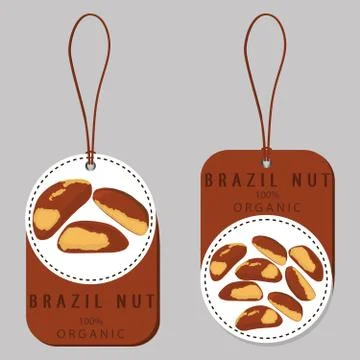 The theme nuts 스톡 일러스트