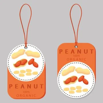 The theme nuts 스톡 일러스트