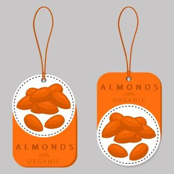 The theme nuts Stockillustratie