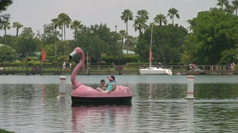 Theme Park Visitors around Lake with Flamingo Paddle Boat Video stock 21893455