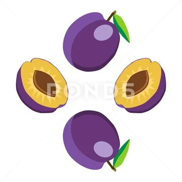 The theme of plum Stock Illustration