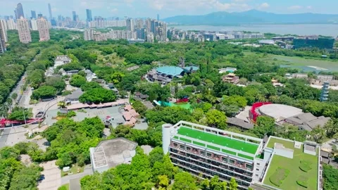 Themed cultural park among trees and city blocks - Shenzhen 스톡 동영상 346613400