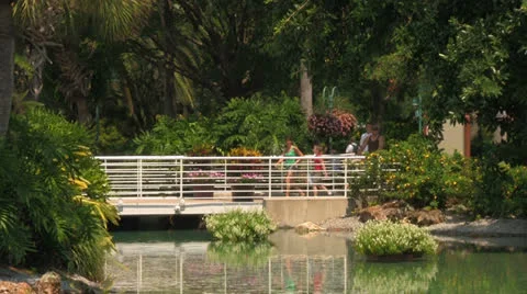 Themepark Goers Crossing a Bridge Over a Garden pond at Seaworld Video stock 24076696