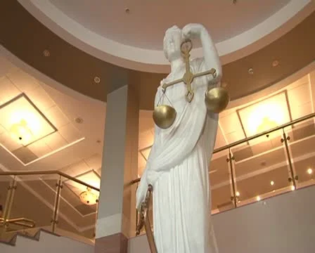 Themis 動画素材 10728070