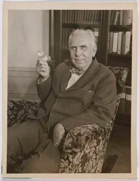 Theodore Dreiser Stock Photos
