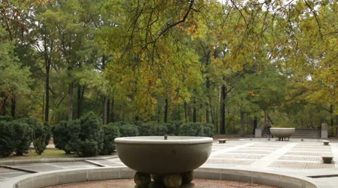 Theodore Roosevelt Island Stock Footage 32360976