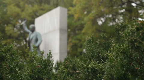 Theodore Roosevelt Island Stock Footage 32371124
