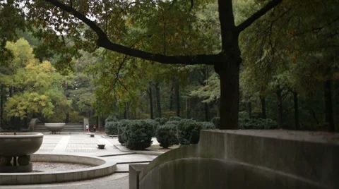 Theodore Roosevelt Island Stock Footage 32371723