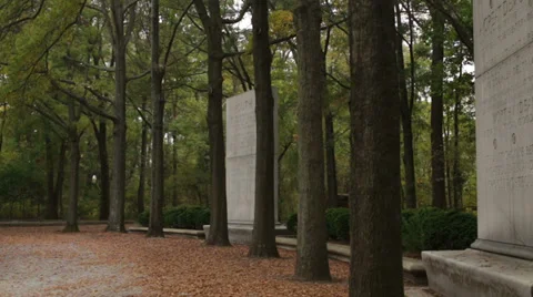 Theodore Roosevelt Island Stock Footage 32371817