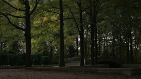 Theodore Roosevelt Island Stock Footage 32371919