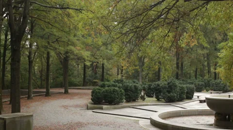 Theodore Roosevelt Island Stock Footage 32372185