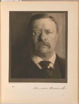 Theodore Roosevelt Foto stock