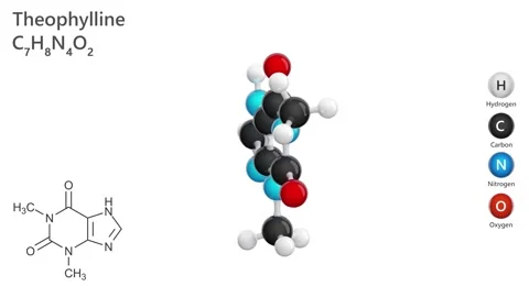 Theophylline. 3D model of a molecule. C7H8N4O2. White background. 3D render Stock Footage 292913667