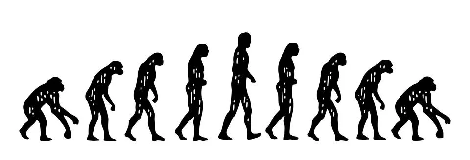 Theory evolution of man. From monkey to man. Vintage engraving Stock Illustration