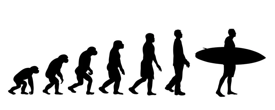 Theory of evolution of man. Vector silhouette of homo sapiens. Symbol from mo Illustrazione stock