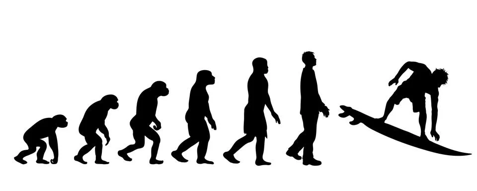 Theory of evolution of man. Vector silhouette of homo sapiens. Symbol from mo Stock Illustration