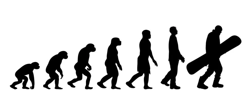 Theory of evolution of man. Vector silhouette of homo sapiens. Symbol from mo Stock Illustration