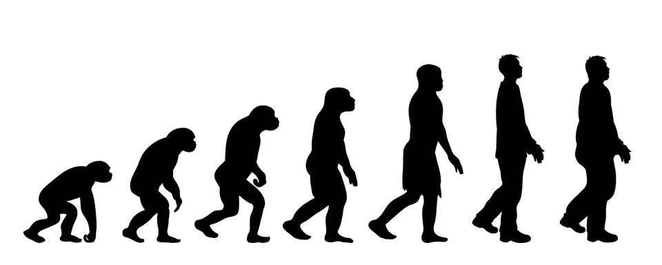 Theory of evolution of man. Vector silhouette of homo sapiens. Symbol from mo Stock Illustration