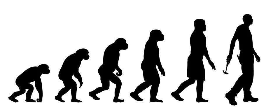 Theory of evolution of man. Vector silhouette of homo sapiens. Symbol from mo Illustrazione stock