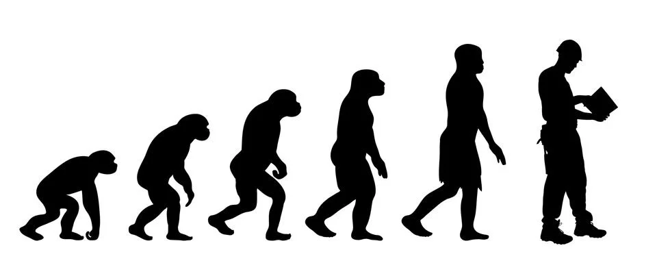 Theory of evolution of man. Vector silhouette of homo sapiens. Symbol from mo Stock Illustration