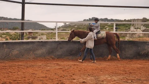 Therapeutic riding paddock Stock Footage 103425357