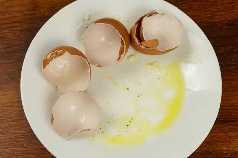 There are egg shells on an empty plate Stock Photos